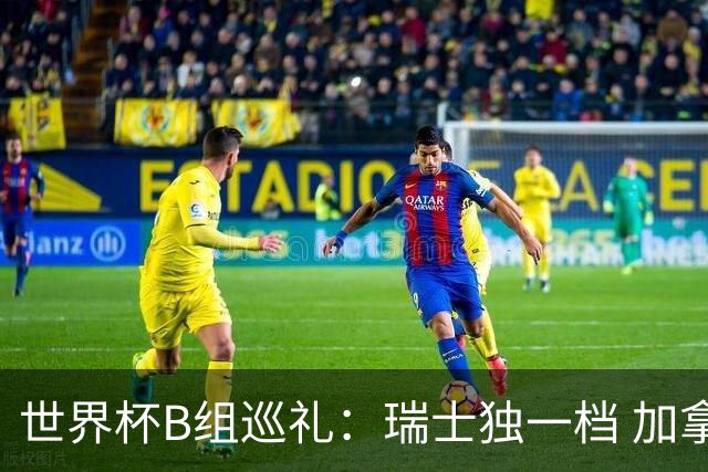 世界杯B组巡礼：瑞士独一档 加拿大觊觎心十足