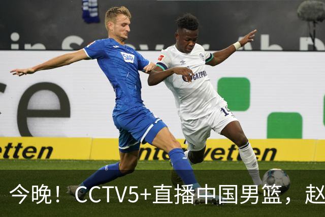 今晚！CCTV5+直播中国男篮，赵继伟继续休战？张镇麟等参加CBA总决赛缺席