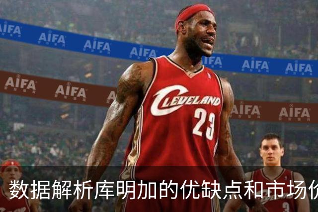 数据解析库明加的优缺点和市场价值，他适合湖人或骑士吗？