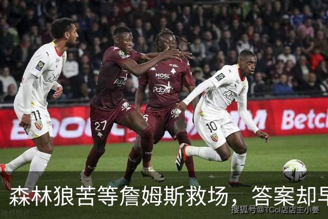 森林狼苦等詹姆斯救场，答案却早已身披5号