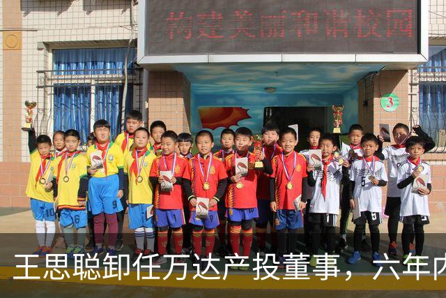 王思聪卸任万达产投董事，六年内已三度退出“万达系”决策层