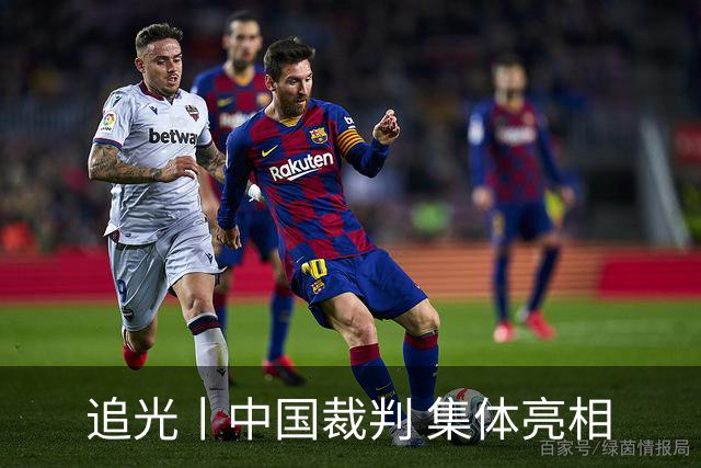 追光丨中国裁判 集体亮相
