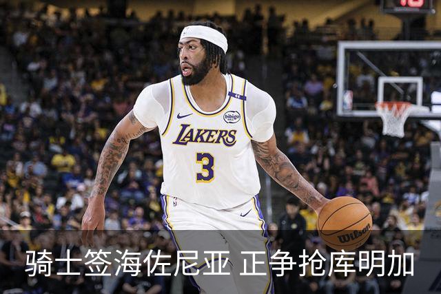 骑士签海佐尼亚 正争抢库明加